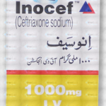 Inocef Iv Injection 1000Mg (1 Box = 1 Injection)