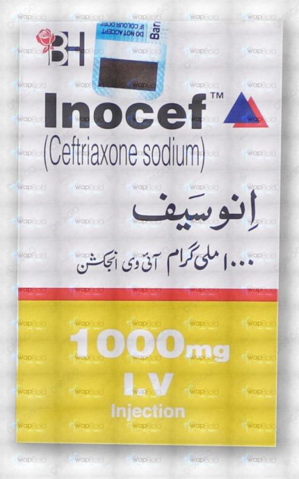 Inocef Iv Injection 1000Mg (1 Box = 1 Injection)