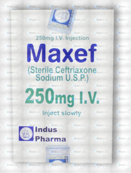 Maxef Iv Injection 250Mg (1 Box = 1 Injection)
