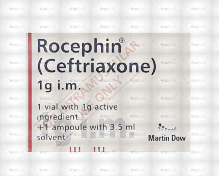 Rocephin Im Injection 1G (1 Box = 1 Injection)