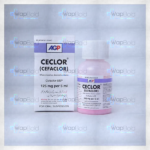 Ceclor 60Ml Suspension 125Mg/5Ml