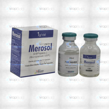 Merosol Injection 1G/Vial (1 Box = 1 Injection)